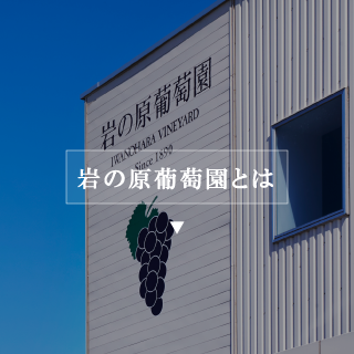 岩の原葡萄園とは