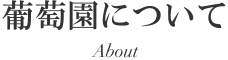 葡萄園について