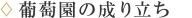 葡萄園の成り立ち