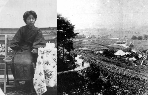 幼少期の川上善兵衛、頸城平野