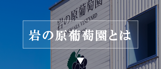 岩の原葡萄園とは