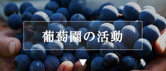 葡萄園の活動