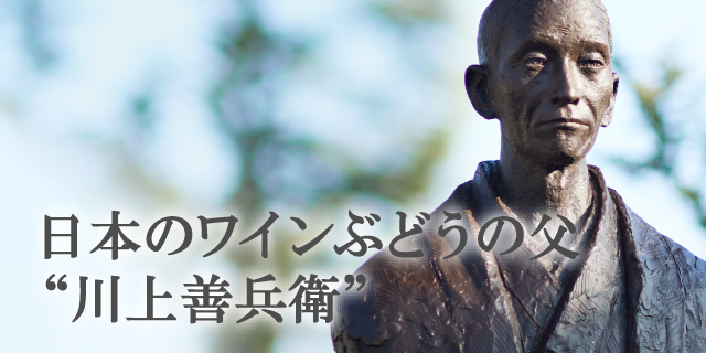 日本のワインぶどうの父“川上善兵衛”