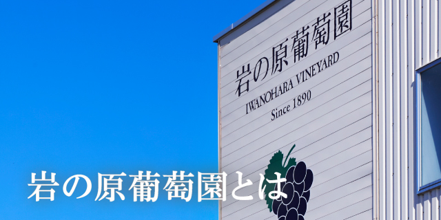 岩の原葡萄園とは