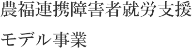 農福連携障害者就労支援モデル事業