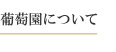 葡萄園について