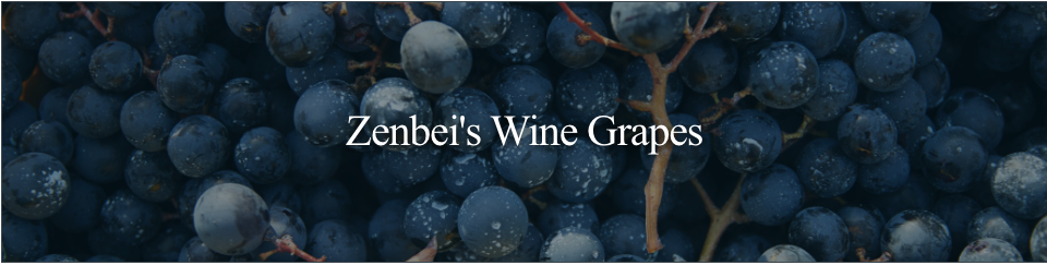 Zenbei's Wine Grapes