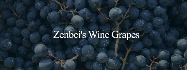 Zenbei's Wine Grapes