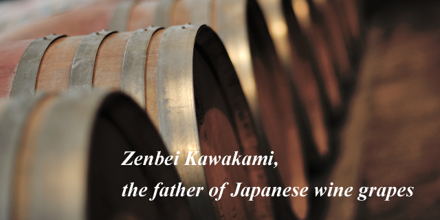 Zenbei Kawakami, The Father of Japanese Viticulture