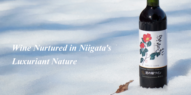 Wine Nurtured in Niigata's Luxuriant Nature