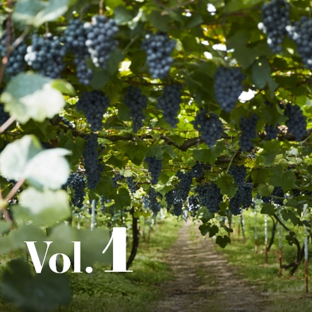 特別なできごと vol.01