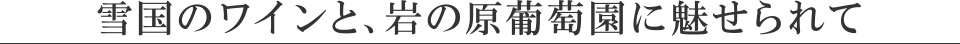 雪国のワインと、岩の原葡萄園に魅せられて