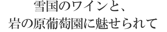 雪国のワインと、岩の原葡萄園に魅せられて
