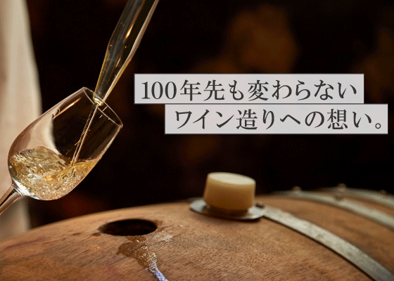 100年先も変わらないワイン造りへの想い。
