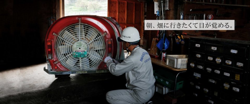 朝、畑に行きたくて目が覚める。