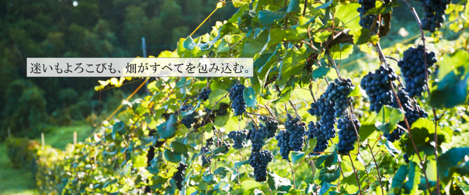 迷いもよろこびも、畑がすべてを包み込む。