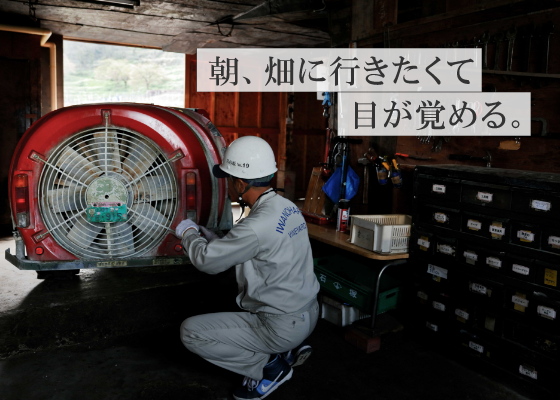 朝、畑に行きたくて目が覚める。