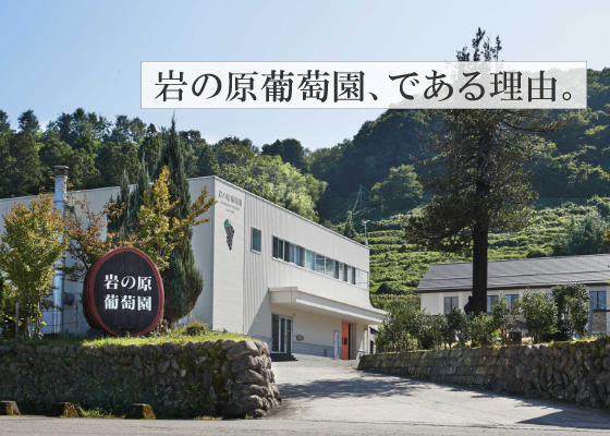 岩の原葡萄園、である理由。
