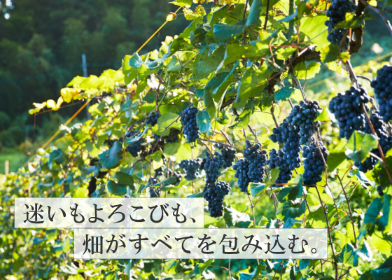 迷いもよろこびも、畑がすべてを包み込む。