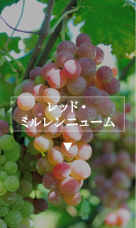 レッド・ミルレンニューム