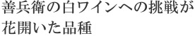 善兵衛の白ワインへの挑戦が花開いた品種