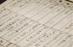 交雑に関する文書