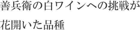 善兵衛の白ワインへの挑戦が花開いた品種
