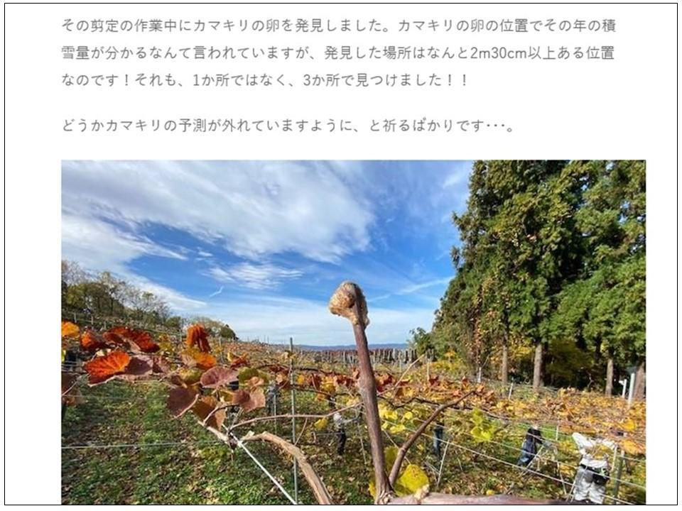 岩の原のまいにち 岩の原葡萄園 岩の原のまいにち 岩の原葡萄園