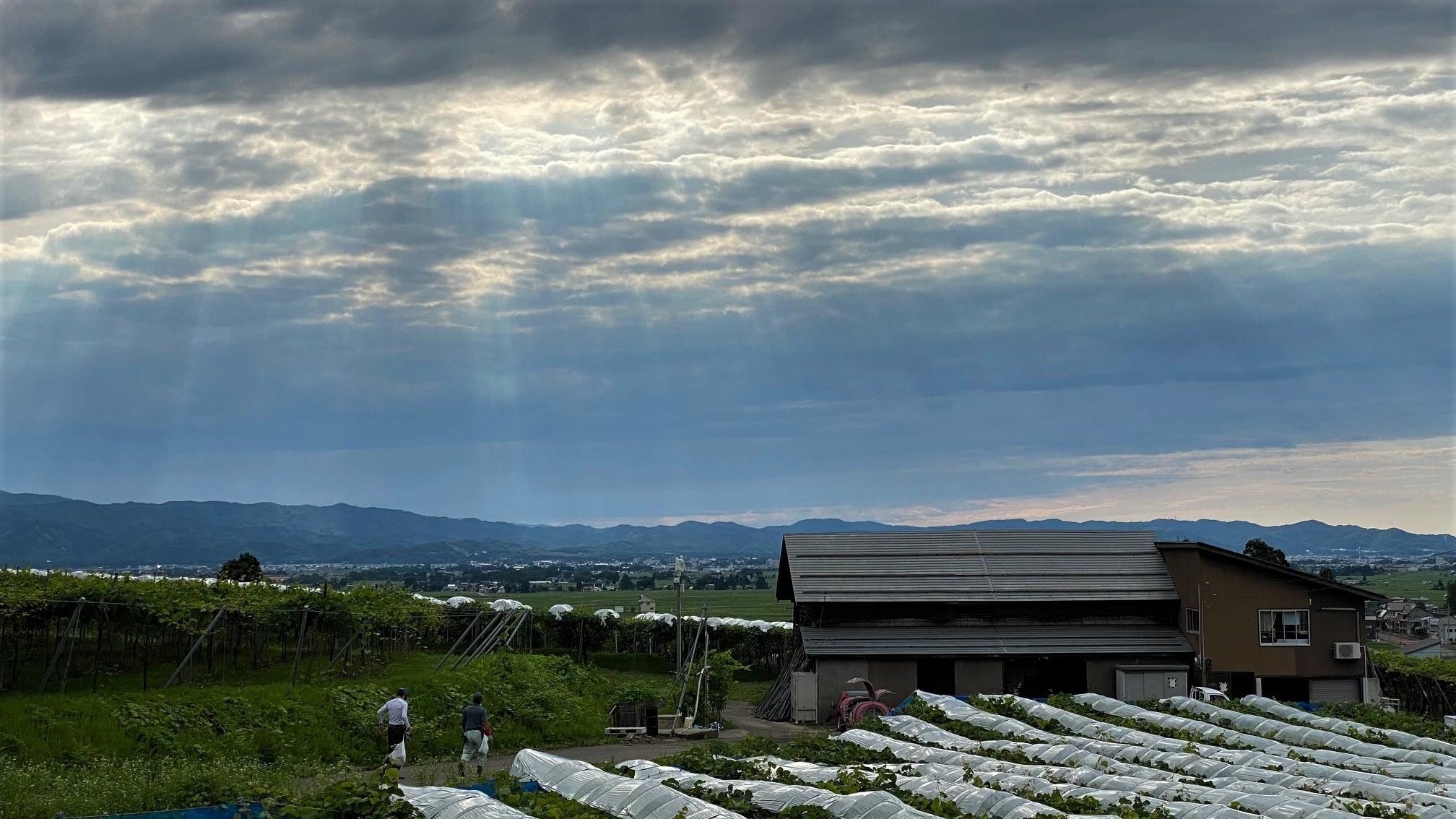 岩の原のまいにち 岩の原葡萄園 岩の原のまいにち 岩の原葡萄園