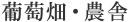 葡萄畑・農舎