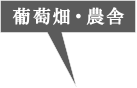 葡萄畑・農舎