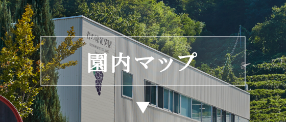 園内マップ