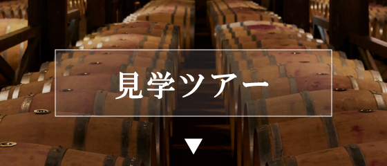 見学ツアー