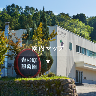 園内マップ