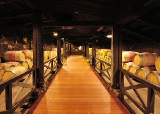 Welcome to the vineyard