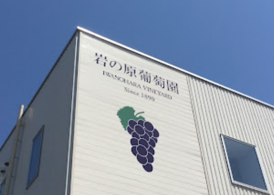 Our Company