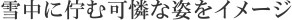 雪中に佇む可憐な姿をイメージ
