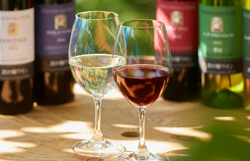 What are Premium Iwanohara Vineyard wines?