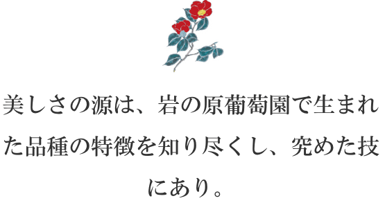 美味しさの源は、岩の原葡萄園で生まれた品種の特徴を知り尽くし、究めた技にあり。