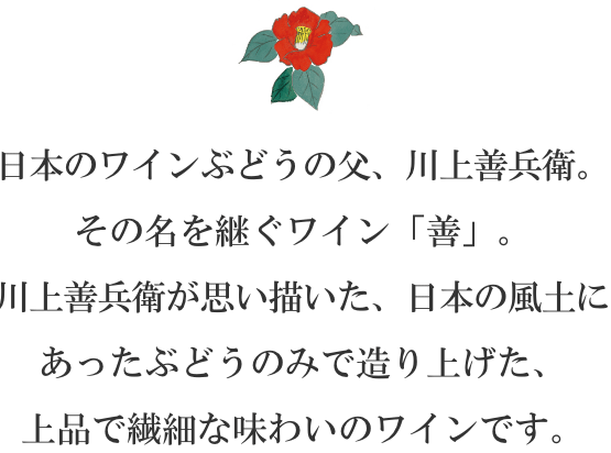 日本のワインぶどうの父、川上善兵衛。その名を継ぐワイン「善」。川上善兵衛が思い描いた、日本の風土にあったぶどうのみで造り上げた、上品で繊細な味わいのワインです。